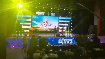 AV演出服务 一场虚幻与现实的交织体验